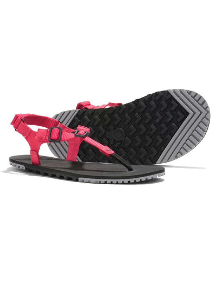 Xero H-Trail Barefoot Sandal - Womens - Raspberry