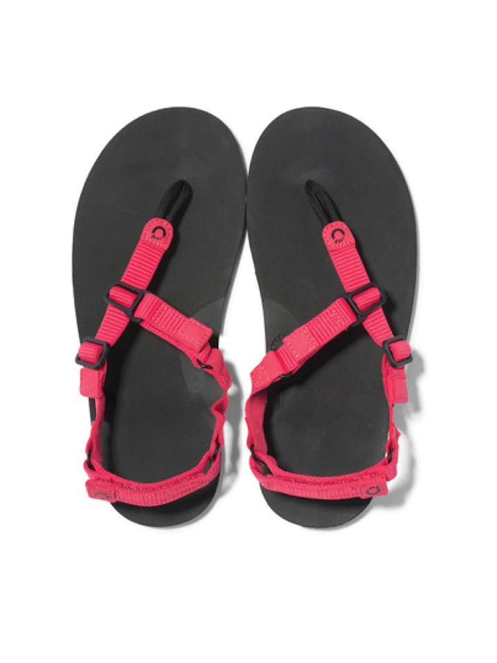 Xero H-Trail Barefoot Sandal - Womens - Raspberry